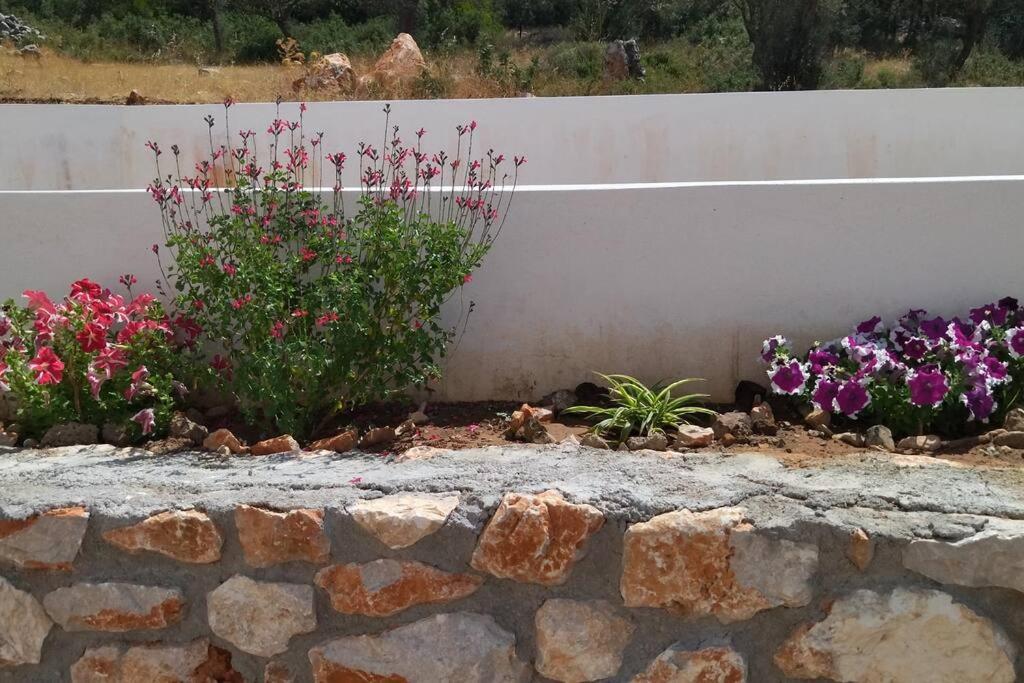 Smailis Apartment 1 Koroni  Ngoại thất bức ảnh